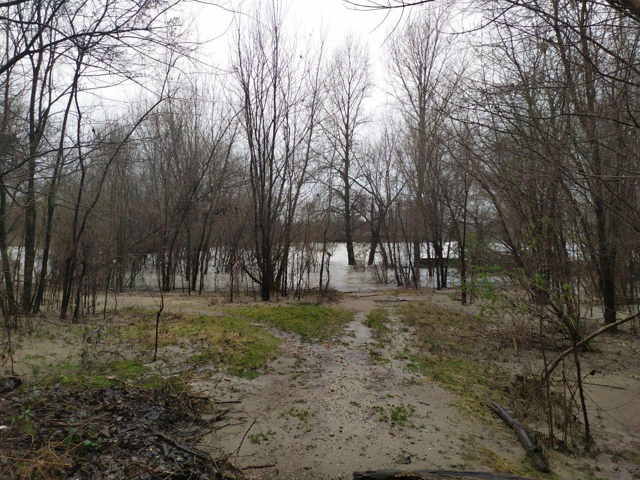 Immagine per Protezione civile a Mossa per interventi contro il maltempo, l'Isonzo rimane sotto controllo